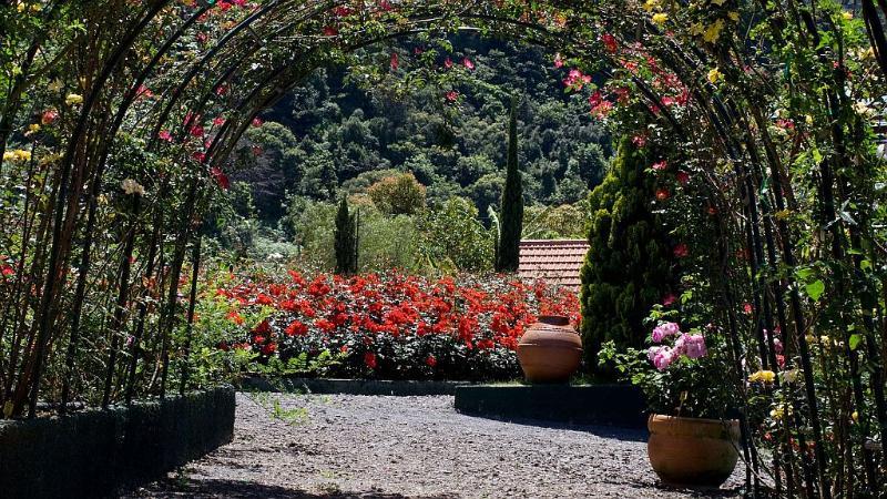 Pestana Quinta Do Arco Nature & Rose Garden Hotel Arco de Sao Jorge Ngoại thất bức ảnh