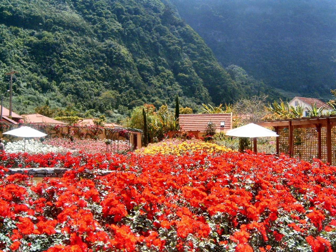 Pestana Quinta Do Arco Nature & Rose Garden Hotel Arco de Sao Jorge Ngoại thất bức ảnh